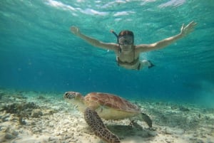 Delad snorklingstur runt 3 öar (GoPro-fotografering)