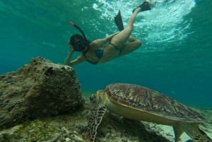 Gedeelde snorkeltour rond 3 eilanden (GoPro fotoshoot)