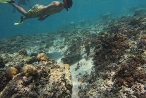 Viagem de snorkeling 3 Gilis em barco de vidro fretado privado