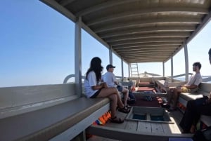 Excursion de plongée en apnée 3 Gilis en bateau à fond de verre affrété par un particulier