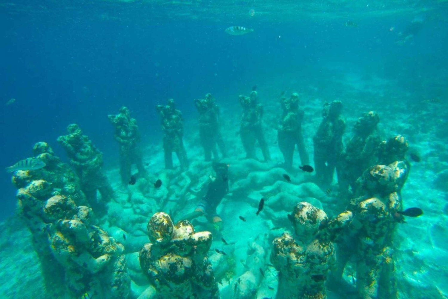 Snorkeling Trip at gili Lombok with d'gilis