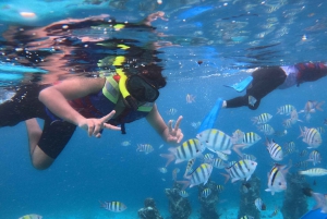 Excursión exclusiva de snorkel a Gili Terawangan Meno y Air.