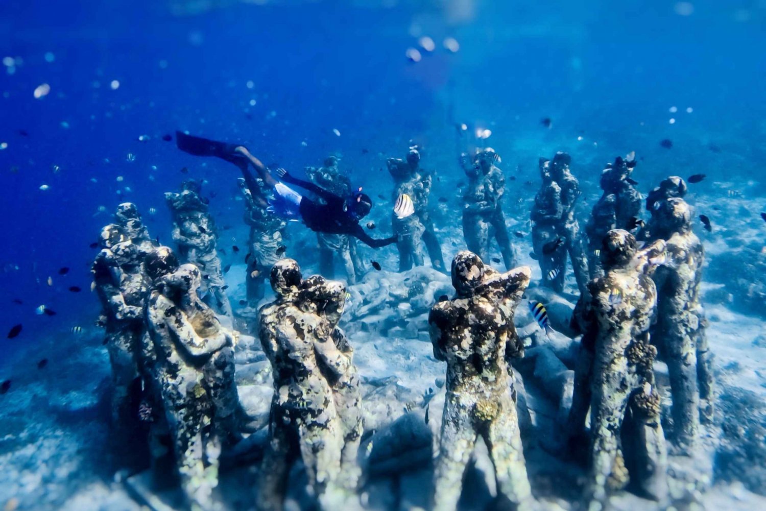 Mergulho com tartaruga e estátua subaquática em Gilis