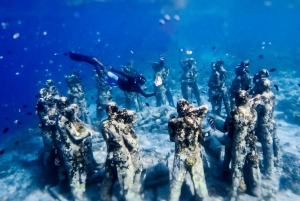 Snorkling med skildpadde og undervandsstatue i Gilis