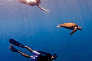 Snorklausta kilpikonnan ja vedenalaisen patsaan kanssa Gilisissä