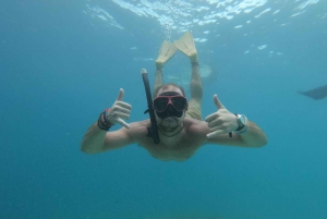 Snorkling med skildpadde og undervandsstatue i Gilis