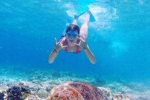 Snorkeling a Gili Trawangan, Gili Air e Gili Meno da Lombok