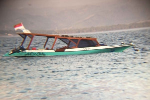 Pêche au harpon SALFA - Îles Gili