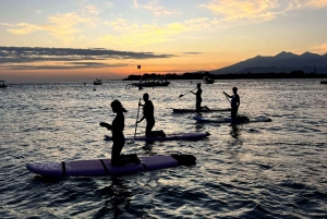 Sunrise stand up paddle board and see turtles