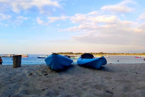 Stand up paddle board ved solopgang og se skildpadder