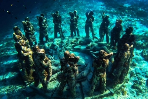 Excursión compartida de snorkel al atardecer