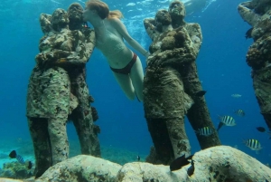 Snorkeltrip bij zonsondergang