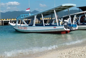 Snorkeltrip bij zonsondergang