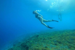 Fælles snorkeltur ved solnedgang