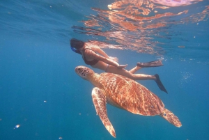 Snorkeltrip bij zonsondergang