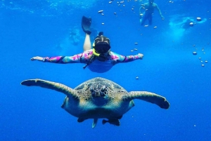 Snorkeltrip bij zonsondergang privé