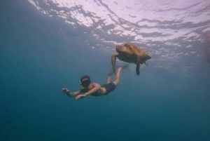 Passeio de mergulho com snorkel ao pôr do sol privado