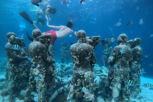 Snorkling vid solnedgången privat