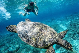 サンセットシュノーケリング旅行