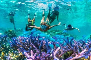 excursión de snorkel al atardecer