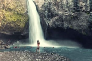 Tanah Lot-templet med Ubud-tur och visning av Kecak-dansen