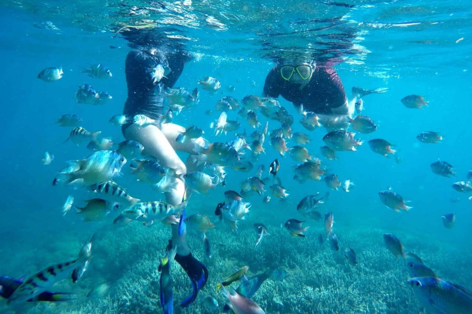 Viaje de snorkel en la playa de Tangsi, Gili Gambir y Gili Petelu