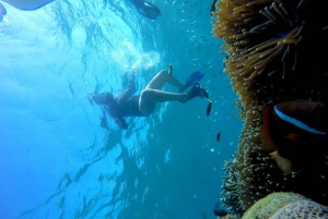 Snorkling på Tangsi Beach, Gili Gambir och Gili Petelu