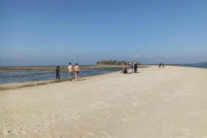 Snorkling på Tangsi Beach, Gili Gambir och Gili Petelu