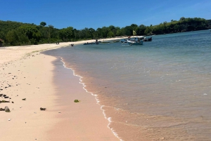 Viagem de snorkeling à praia de Tangsi, Gili Gambir e Gili Petelu