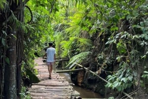 Tete Batu : Visite à pied des rizières en terrasses et des Mongkas noirs