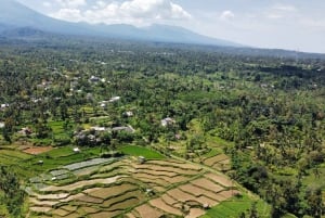 Tete Batu : Excursão a pé pelos terraços de arroz e pelo Mongky preto