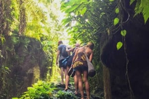 Tetebatu: excursion d'une journée dans les rizières, la cascade et la forêt des singes
