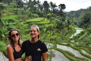 Tetebatu: Rice Fields, Waterfall, & Monkey Forest Day Tour