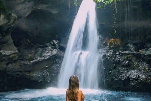 Tetebatu : Paseo por la Terraza de Arroz, Cascada y Mongky Negro