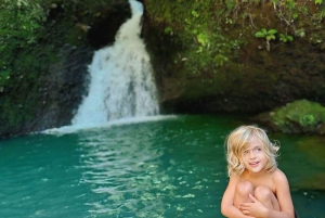 Tetebatu : Paseo por la Terraza de Arroz, Cascada y Mongky Negro