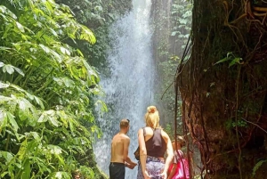 Tetebatu : Walk on Rice Terrace, Waterfall Include Luch