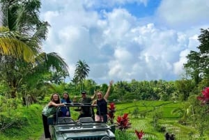 Tetebatu : Walk on Rice Terrace, Waterfall Include Luch