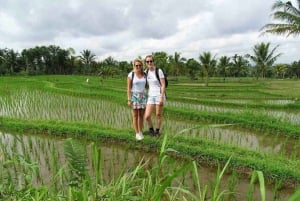 Tetebatu : Walk on Rice Terrace, Waterfall Include Luch