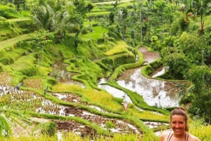 Tetebatu : Walk on Rice Terrace, Waterfall Include Luch