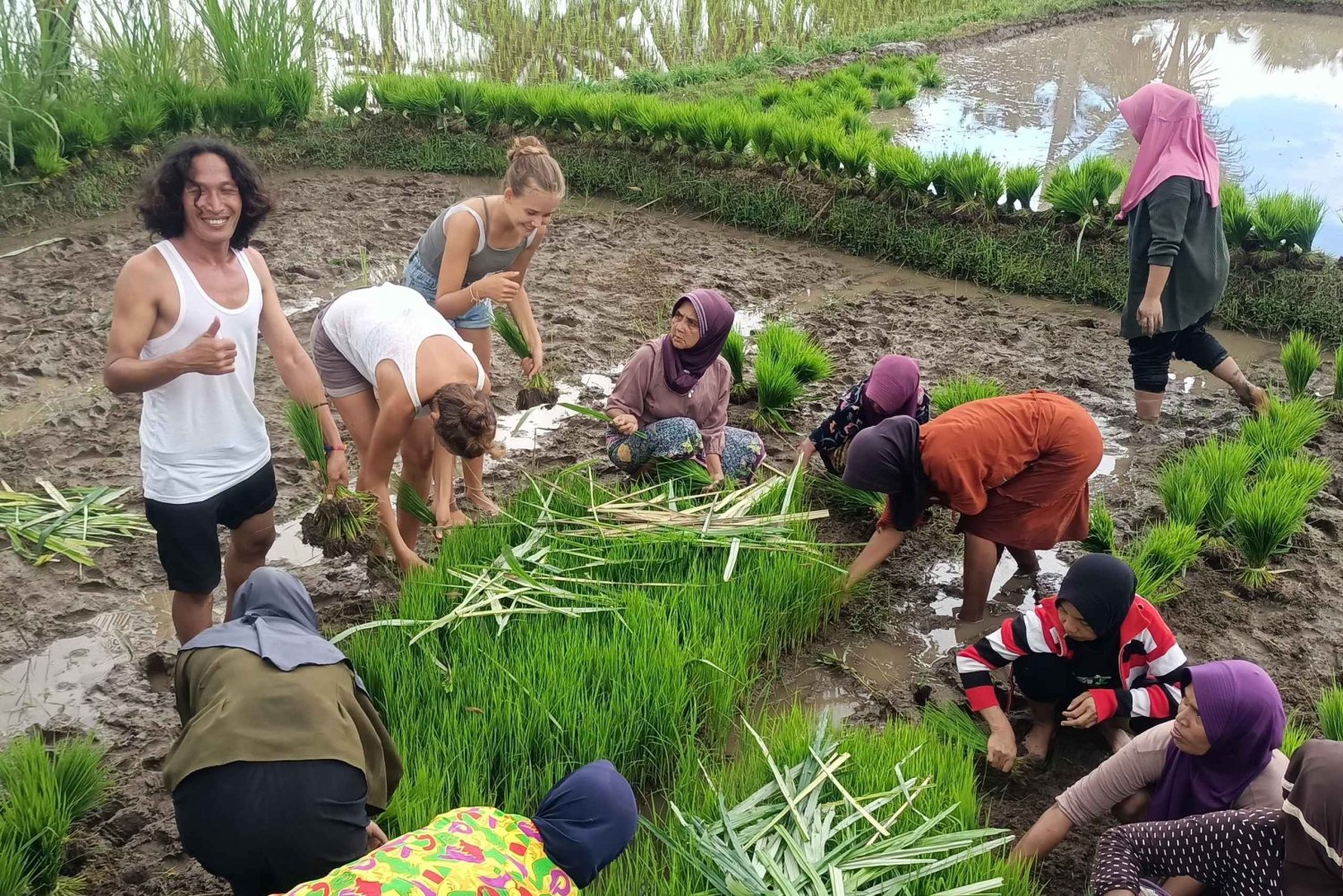 Tetebatu: cascatas, especiarias, terraços de arroz, floresta de macacos