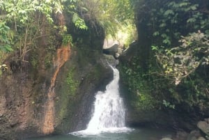 Tetebatu: cachoeiras, especiarias, terraço de arroz, floresta de macacos