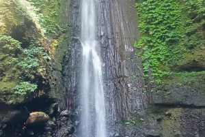 Tetebatu: cascatas, especiarias, terraços de arroz, floresta de macacos