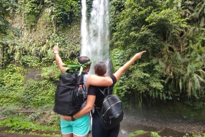 De beste Lombok watervallen tour & traditionele dorpen