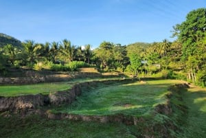 Wycieczki po grzybach na Gili