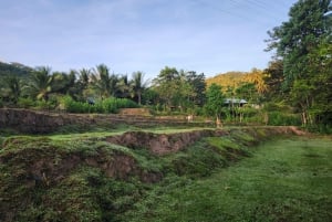 Wycieczki po grzybach na Gili