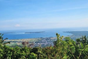 Wycieczki po grzybach na Gili