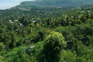 Wycieczki po grzybach na Gili