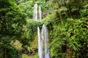 Tiu Kelep and Sendang Gile Waterfall Trekking Tour