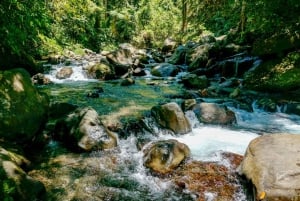 Tiu Kelep and Sendang Gile Waterfall Trekking Tour