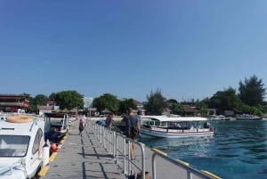 Transfer tussen Senggigi en Teluk Nara en Bangsal haven